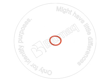 0700073030 ST КОЛЬЦО КРУГЛОГО СЕЧЕНИЯ