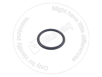 1698885 ST КОЛЬЦО КРУГЛОГО СЕЧЕНИЯ