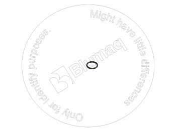 6V9769 BQ КОЛЬЦО КРУГЛОГО СЕЧЕНИЯ
