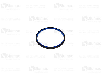 6097007 OR SEAL AS
