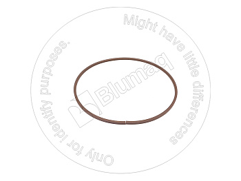 7G1145 ST САЛЬНИК