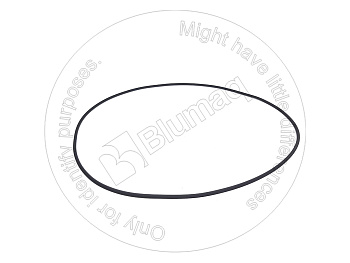 1F9142 ST КОЛЬЦО КРУГЛОГО СЕЧЕНИЯ