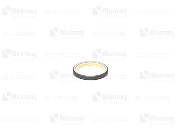 8J6069 ST САЛЬНИК