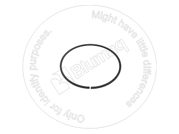 8U3593 OR КОЛЬЦО
