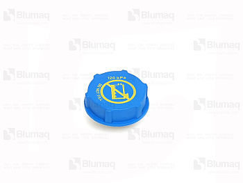 036.319 ST PRESSURE CAP