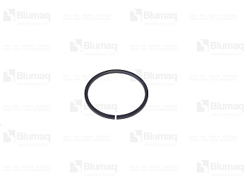 23019730 BQ SEALING RING