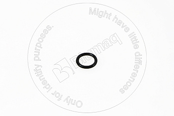 VOE20459904 OR САЛЬНИК