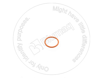 9X3979 ST О-кольцо