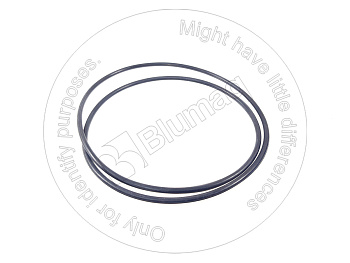 R916463282 ST КОЛЬЦО КРУГЛОГО СЕЧЕНИЯ