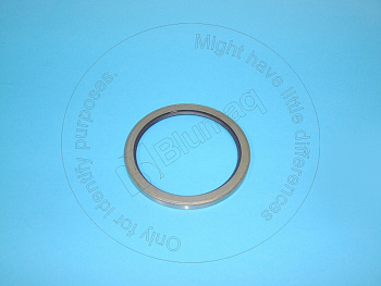 VOE942769 ST САЛЬНИК