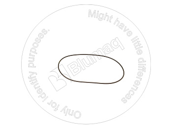 0943937 ST КОЛЬЦО КРУГЛОГО СЕЧЕНИЯ