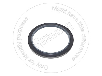 3W1858 ST САЛЬНИК