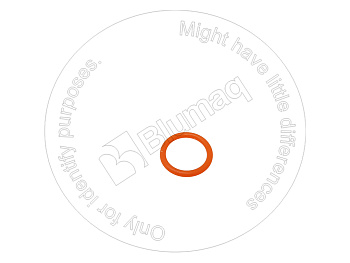 0700072018 ST КОЛЬЦО КРУГЛОГО СЕЧЕНИЯ