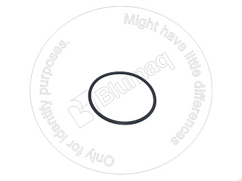 1900310 BQ КОЛЬЦО КРУГЛОГО СЕЧЕНИЯ