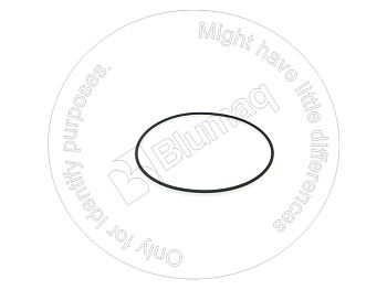 6V7350 BQ КОЛЬЦО КРУГЛОГО СЕЧЕНИЯ