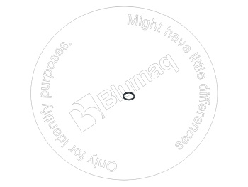 VOE13949574 ST КОЛЬЦО КРУГЛОГО СЕЧЕНИЯ