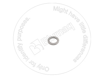 2R0409 OR ШАЙБА