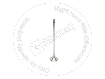 2421542 BQ КЛАПАН ВПУСКНОЙ