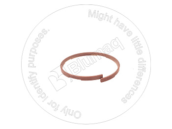 2144501 ST САЛЬНИК