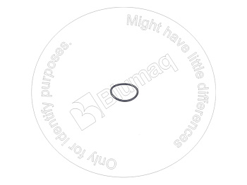 2974854 OE КОЛЬЦО КРУГЛОГО СЕЧЕНИЯ