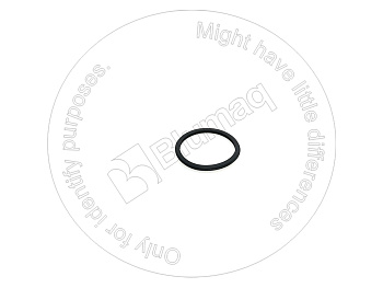 VOE785557 ST КОЛЬЦО