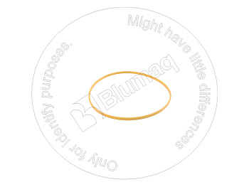 2645302 OR УПЛОТНЕНИЕ ГОЛОВКИ