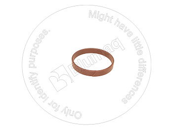2639887 ST RING-WEAR