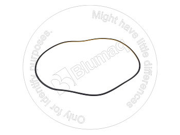 9M2107 OR САЛЬНИК