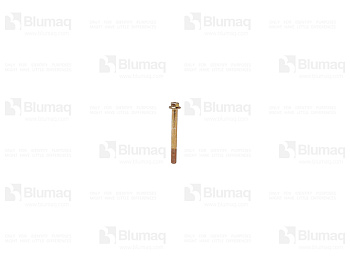 VOE984761 BQ FLANGE SCREW