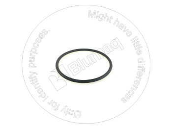 5B4484 ST КОЛЬЦО КРУГЛОГО СЕЧЕНИЯ