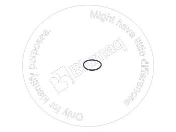 VOE1662041 ST КОЛЬЦО КРУГЛОГО СЕЧЕНИЯ