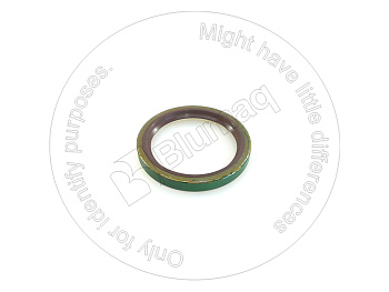 8J6242 ST САЛЬНИК