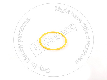 6216943820 OE КОЛЬЦО КРУГЛОГО СЕЧЕНИЯ