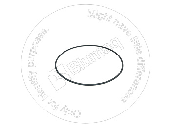 0951722 ST КОЛЬЦО КРУГЛОГО СЕЧЕНИЯ