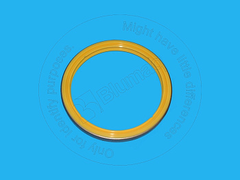 9X7268 OR САЛЬНИК