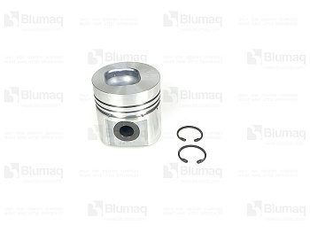 6136312012 ST ПОРШЕНЬ CON BULO