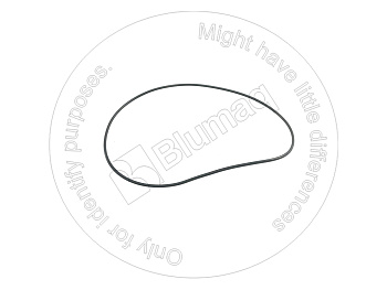 3007786X OR КОЛЬЦО