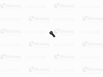 5347594 ST БОЛТ СПЕЦИАЛЬНЫЙ