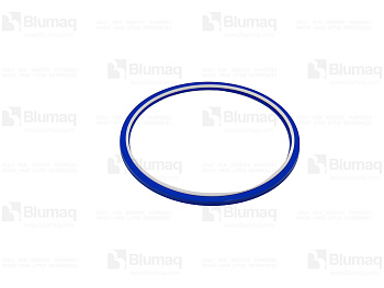 1709852 ST САЛЬНИК