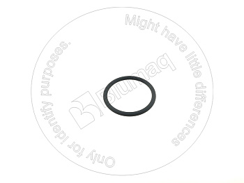 0289621018 ST КОЛЬЦО КРУГЛОГО СЕЧЕНИЯ