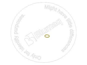 1697487 ST КОЛЬЦО КРУГЛОГО СЕЧЕНИЯ