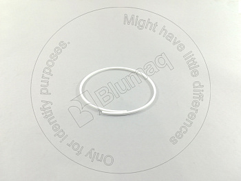 7T1372 OR КОЛЬЦО