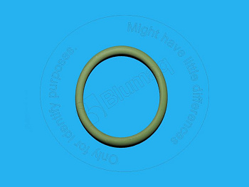 3E6766 ST O-RING