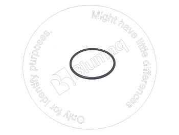 6L9405 ST КОЛЬЦО КРУГЛОГО СЕЧЕНИЯ