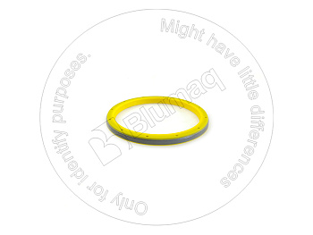 5P0067 ST САЛЬНИК