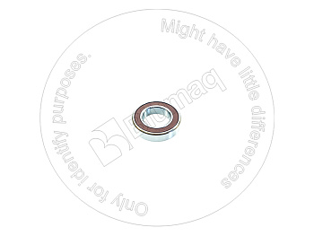 0630406007 OR ПОДШИПНИК