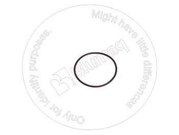VOE13969397 ST КОЛЬЦО КРУГЛОГО СЕЧЕНИЯ