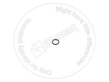 VOE13976969 ST КОЛЬЦО КРУГЛОГО СЕЧЕНИЯ