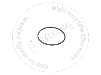 3J7386 ST САЛЬНИК