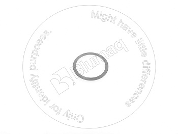 20K2231750 OE SHIM RING
